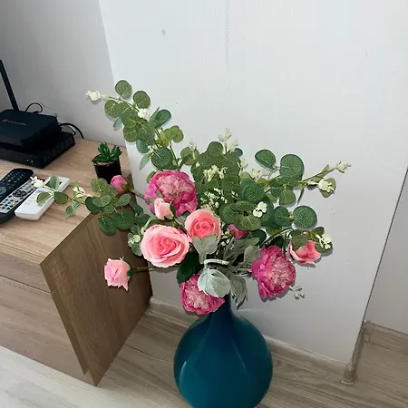 דירה Cozy Alba With Two Bedrooms!